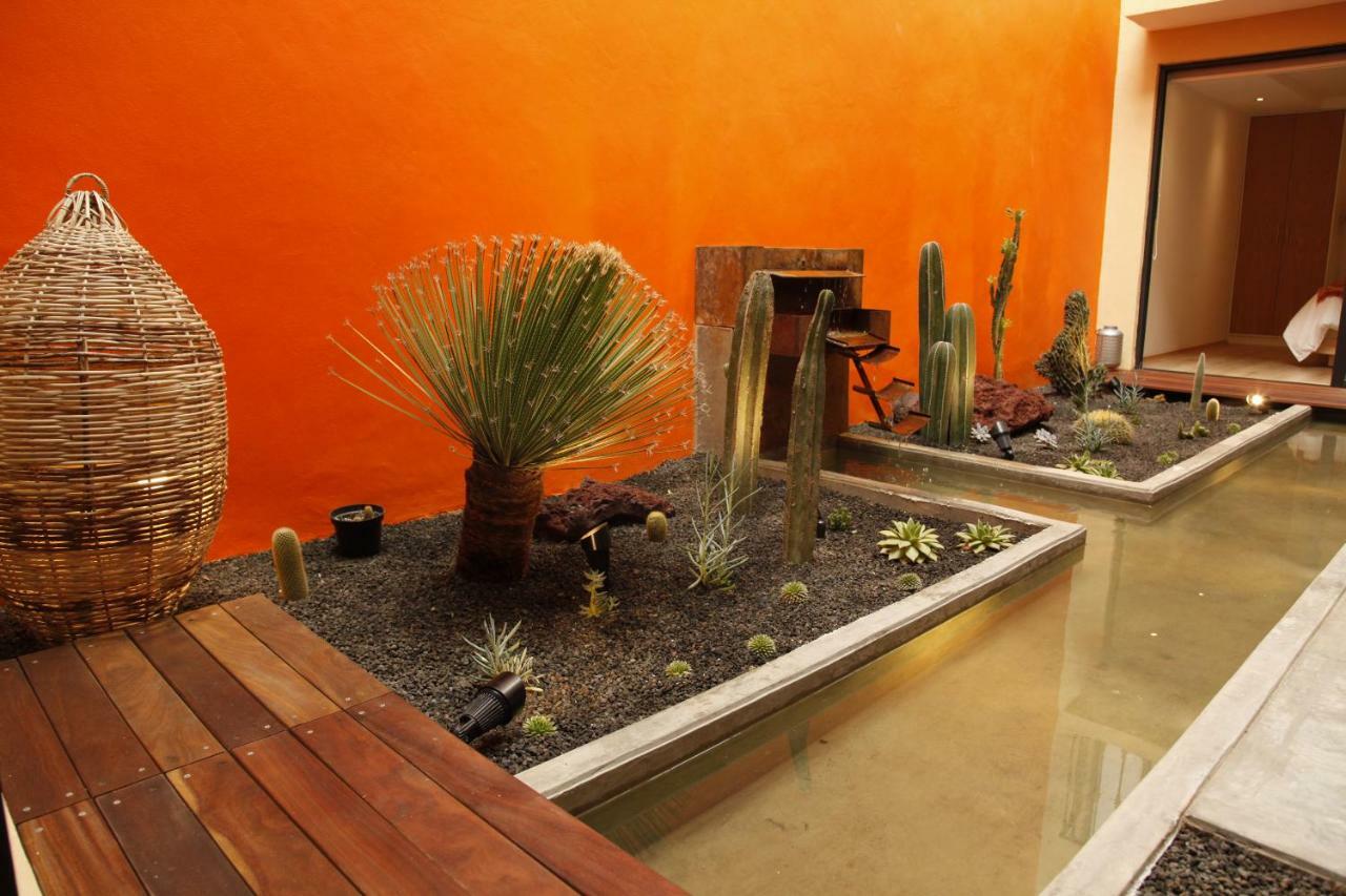 Coyoacan - Inn Meksyk Zewnętrze zdjęcie